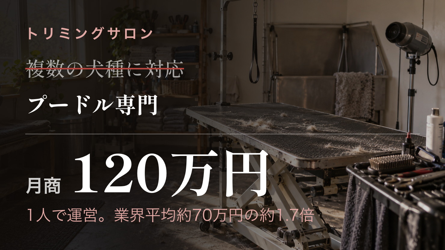 プードル専門に絞って、1人で業界平均の約1.7倍・月商120万円